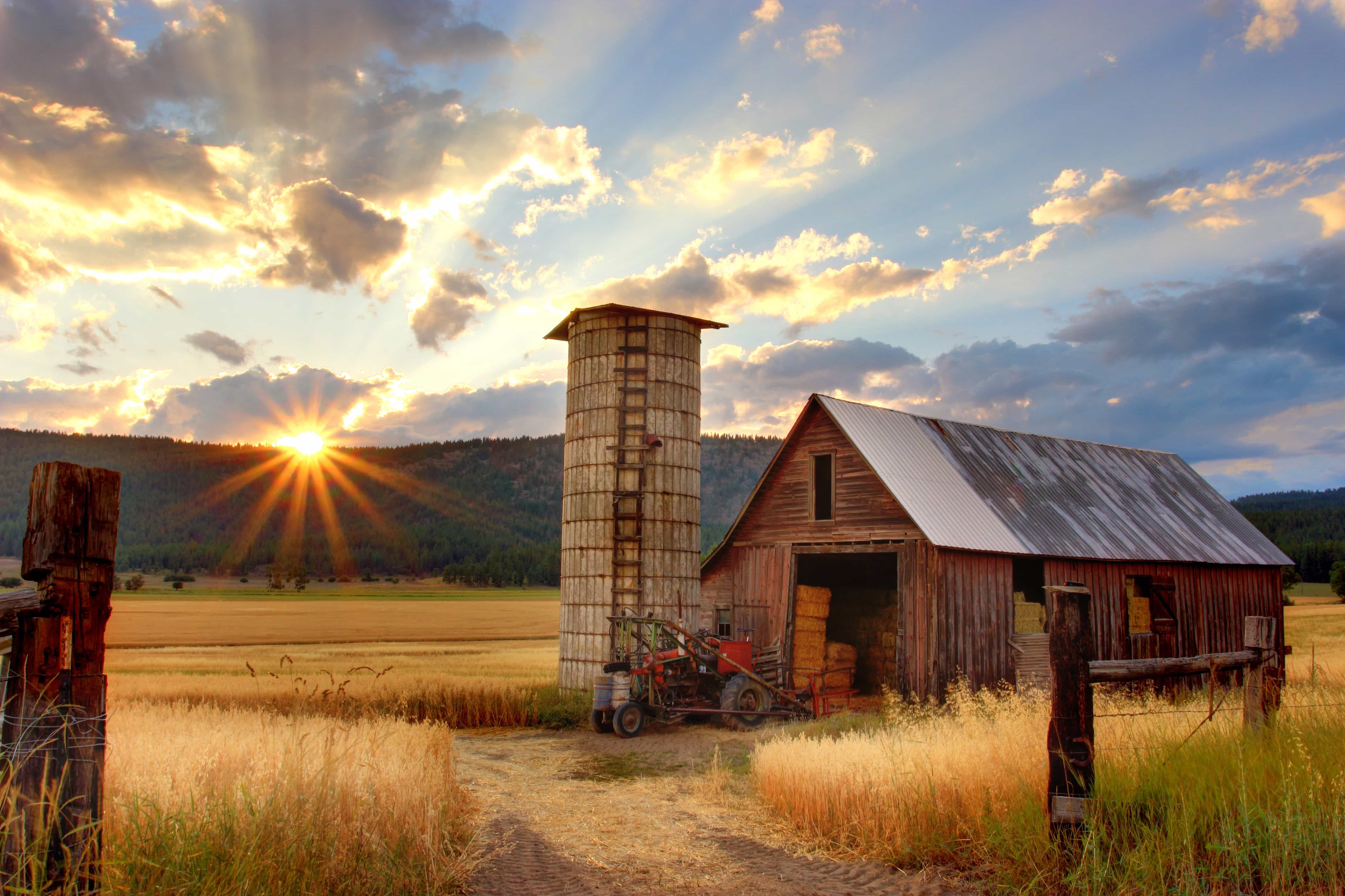 working in a farm, a good way on how to travel with no money
