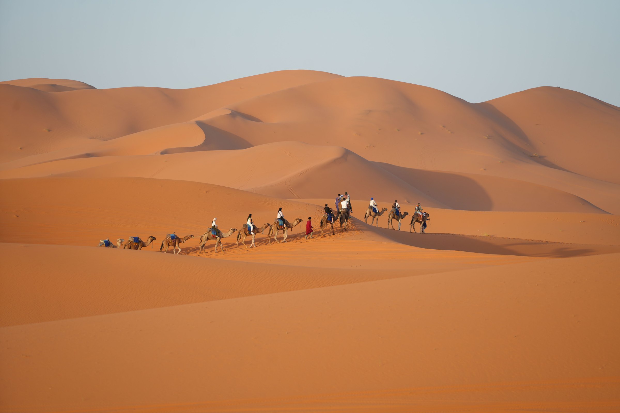 Camel caravan crossing the dunes of Merzouga at sunset, Morocco